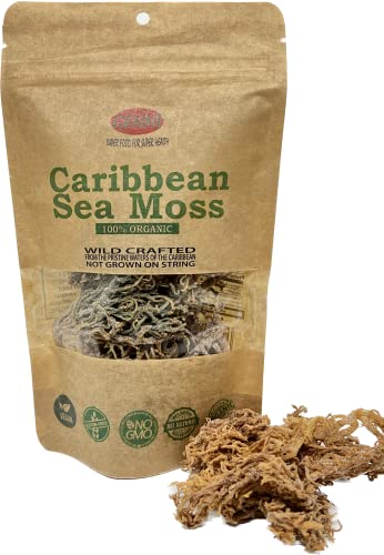 Wild Crafted Sea Moss (Irish Moss) from The Pristine Caribbean Sea 1 Pack NOT Grown on String